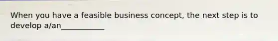 When you have a feasible business concept, the next step is to develop a/an___________