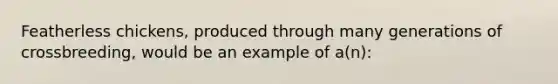 Featherless chickens, produced through many generations of crossbreeding, would be an example of a(n):