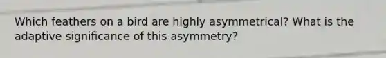 Which feathers on a bird are highly asymmetrical? What is the adaptive significance of this asymmetry?