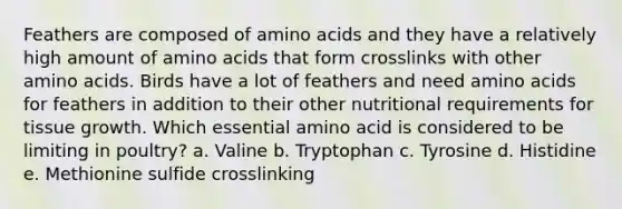 Feathers are composed of amino acids and they have a relatively high amount of amino acids that form crosslinks with other amino acids. Birds have a lot of feathers and need amino acids for feathers in addition to their other nutritional requirements for tissue growth. Which essential amino acid is considered to be limiting in poultry? a. Valine b. Tryptophan c. Tyrosine d. Histidine e. Methionine sulfide crosslinking