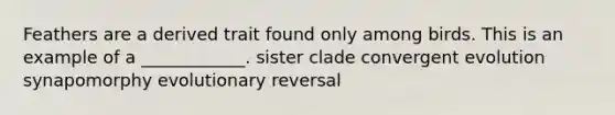 Feathers are a derived trait found only among birds. This is an example of a ____________. sister clade convergent evolution synapomorphy evolutionary reversal