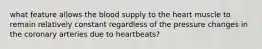 what feature allows the blood supply to the heart muscle to remain relatively constant regardless of the pressure changes in the coronary arteries due to heartbeats?