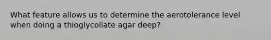 What feature allows us to determine the aerotolerance level when doing a thioglycollate agar deep?