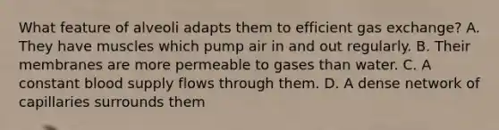 What feature of alveoli adapts them to efficient gas exchange? A. They have muscles which pump air in and out regularly. B. Their membranes are more permeable to gases than water. C. A constant blood supply flows through them. D. A dense network of capillaries surrounds them