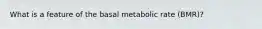 What is a feature of the basal metabolic rate (BMR)?