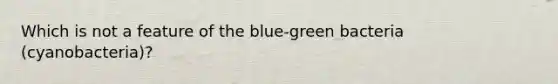 Which is not a feature of the blue-green bacteria (cyanobacteria)?