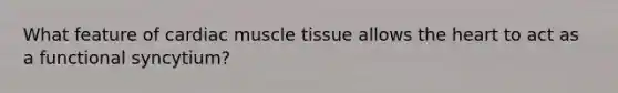 What feature of cardiac muscle tissue allows the heart to act as a functional syncytium?