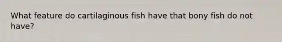 What feature do cartilaginous fish have that bony fish do not have?