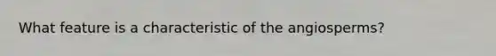 What feature is a characteristic of the angiosperms?