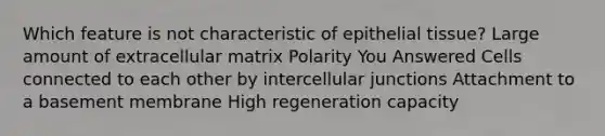 Which feature is not characteristic of <a href='https://www.questionai.com/knowledge/k7dms5lrVY-epithelial-tissue' class='anchor-knowledge'>epithelial tissue</a>? Large amount of extracellular matrix Polarity You Answered Cells connected to each other by intercellular junctions Attachment to a basement membrane High regeneration capacity