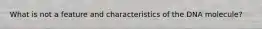 What is not a feature and characteristics of the DNA molecule?