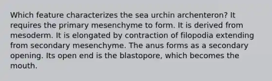 Which feature characterizes the sea urchin archenteron? It requires the primary mesenchyme to form. It is derived from mesoderm. It is elongated by contraction of filopodia extending from secondary mesenchyme. The anus forms as a secondary opening. Its open end is the blastopore, which becomes the mouth.