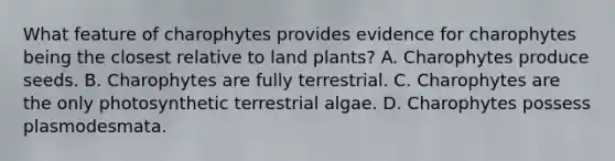 What feature of charophytes provides evidence for charophytes being the closest relative to land plants? A. Charophytes produce seeds. B. Charophytes are fully terrestrial. C. Charophytes are the only photosynthetic terrestrial algae. D. Charophytes possess plasmodesmata.