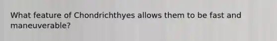 What feature of Chondrichthyes allows them to be fast and maneuverable?