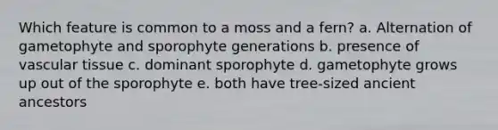 Which feature is common to a moss and a fern? a. Alternation of gametophyte and sporophyte generations b. presence of <a href='https://www.questionai.com/knowledge/k1HVFq17mo-vascular-tissue' class='anchor-knowledge'>vascular tissue</a> c. dominant sporophyte d. gametophyte grows up out of the sporophyte e. both have tree-sized ancient ancestors