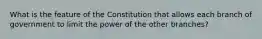 What is the feature of the Constitution that allows each branch of government to limit the power of the other branches?