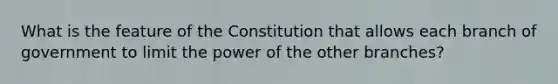 What is the feature of the Constitution that allows each branch of government to limit the power of the other branches?