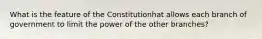 What is the feature of the Constitutionhat allows each branch of government to limit the power of the other branches?