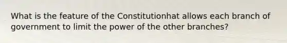 What is the feature of the Constitutionhat allows each branch of government to limit the power of the other branches?