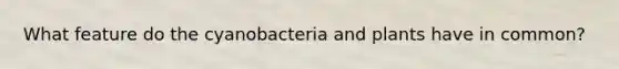 What feature do the cyanobacteria and plants have in common?