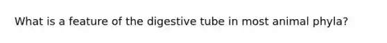 What is a feature of the digestive tube in most animal phyla?