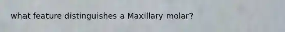 what feature distinguishes a Maxillary molar?