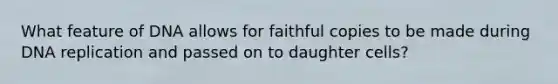 What feature of DNA allows for faithful copies to be made during DNA replication and passed on to daughter cells?