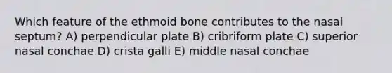 Which feature of the ethmoid bone contributes to the nasal septum? A) perpendicular plate B) cribriform plate C) superior nasal conchae D) crista galli E) middle nasal conchae