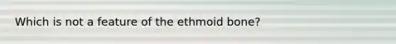 Which is not a feature of the ethmoid bone?