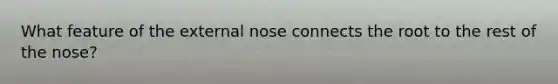 What feature of the external nose connects the root to the rest of the nose?