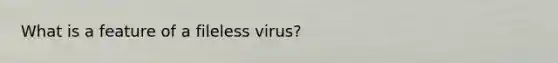 What is a feature of a fileless virus?