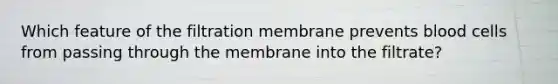 Which feature of the filtration membrane prevents blood cells from passing through the membrane into the filtrate?