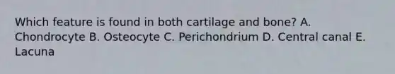 Which feature is found in both cartilage and bone? A. Chondrocyte B. Osteocyte C. Perichondrium D. Central canal E. Lacuna