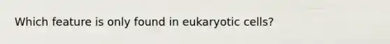 Which feature is only found in eukaryotic cells?