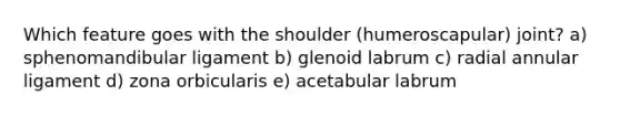 Which feature goes with the shoulder (humeroscapular) joint? a) sphenomandibular ligament b) glenoid labrum c) radial annular ligament d) zona orbicularis e) acetabular labrum