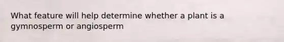 What feature will help determine whether a plant is a gymnosperm or angiosperm