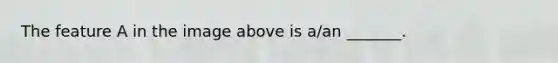 The feature A in the image above is a/an _______.