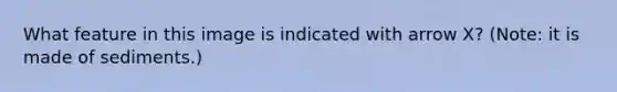 What feature in this image is indicated with arrow X? (Note: it is made of sediments.)