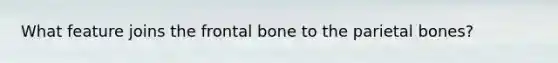 What feature joins the frontal bone to the parietal bones?