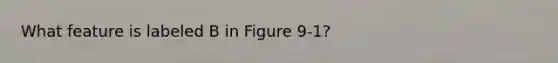 What feature is labeled B in Figure 9-1?