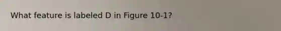 What feature is labeled D in Figure 10-1?