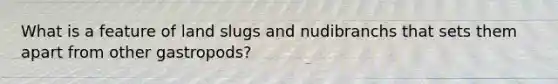 What is a feature of land slugs and nudibranchs that sets them apart from other gastropods?