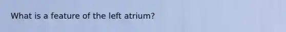 What is a feature of the left atrium?