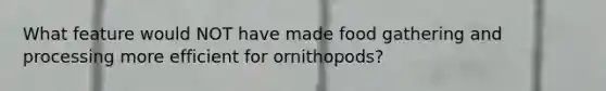 What feature would NOT have made food gathering and processing more efficient for ornithopods?