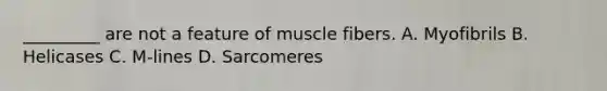 _________ are not a feature of muscle fibers. A. Myofibrils B. Helicases C. M‑lines D. Sarcomeres