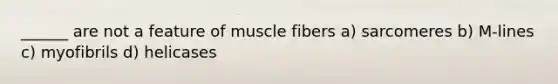 ______ are not a feature of muscle fibers a) sarcomeres b) M-lines c) myofibrils d) helicases