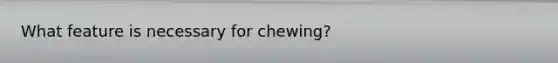 What feature is necessary for chewing?