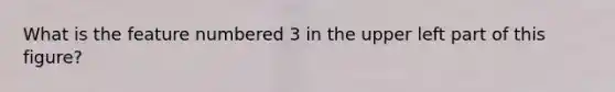 What is the feature numbered 3 in the upper left part of this figure?