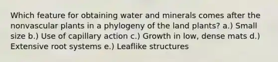 Which feature for obtaining water and minerals comes after the nonvascular plants in a phylogeny of the land plants? a.) Small size b.) Use of capillary action c.) Growth in low, dense mats d.) Extensive root systems e.) Leaflike structures