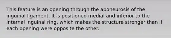 This feature is an opening through the aponeurosis of the inguinal ligament. It is positioned medial and inferior to the internal inguinal ring, which makes the structure stronger than if each opening were opposite the other.